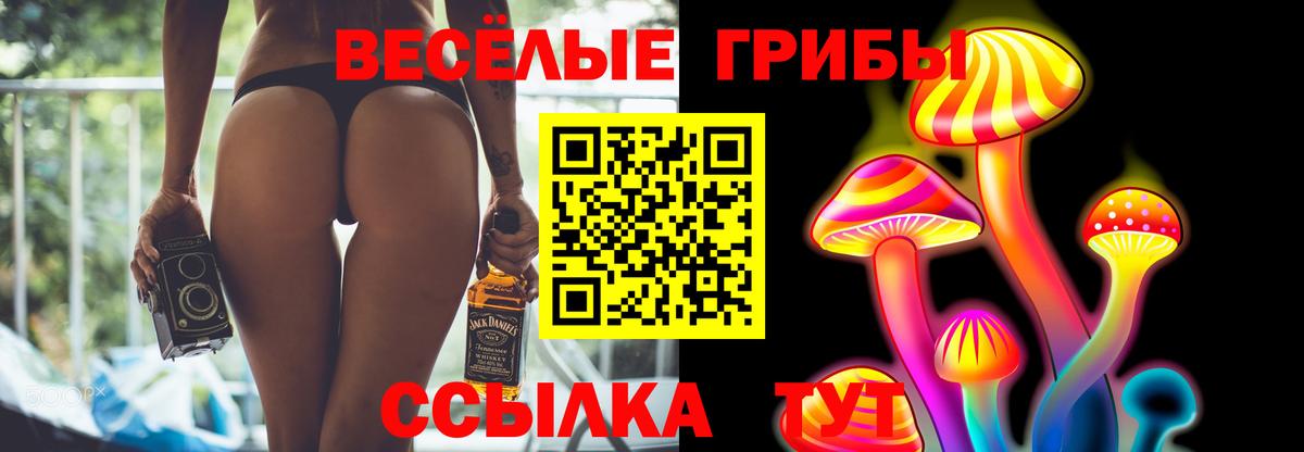 Нефтекумск  Псилоцибиновые грибы Cubensis  Вход с VPN 